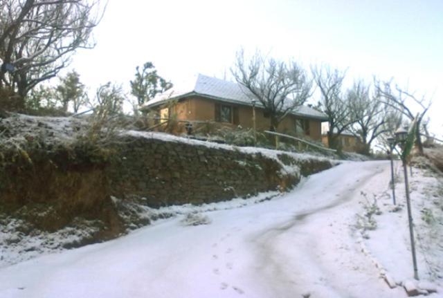 Oyo 43476 Vatika Resort Shimla Luaran gambar