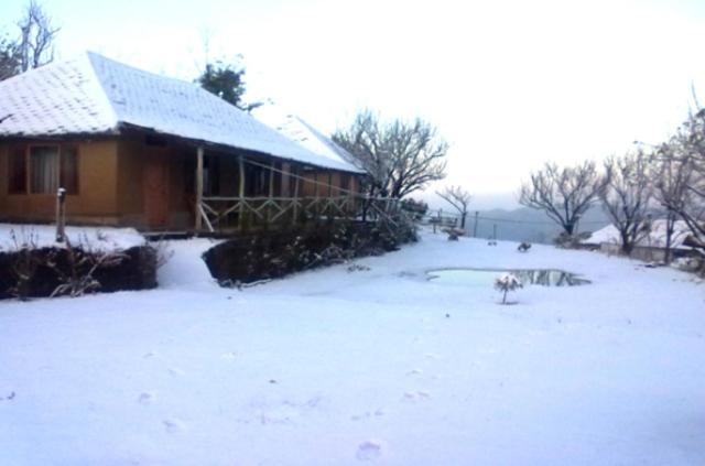 Oyo 43476 Vatika Resort Shimla Luaran gambar