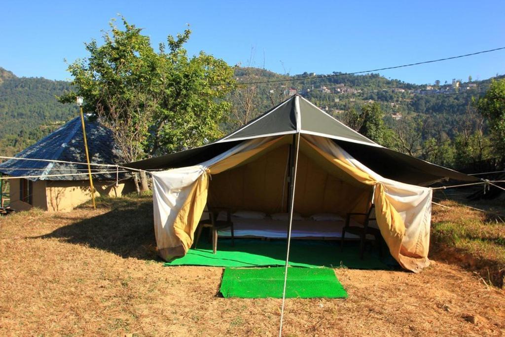 Oyo 43476 Vatika Resort Shimla Luaran gambar